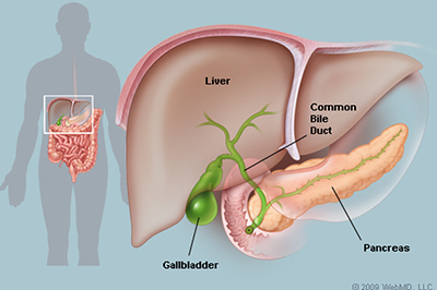 Gall Bladder And Common Bile Duct Disease